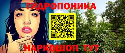 сатива Комсомольск-на-Амуре