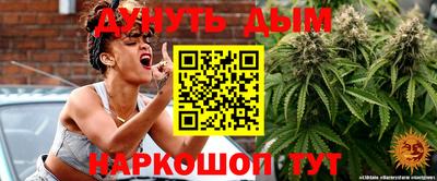 сатива Комсомольск-на-Амуре