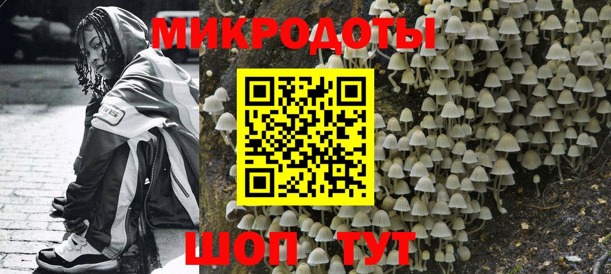 Кубинка  Галлюциногенные грибы Psilocybe  Вход с VPN  Галлюциногенные грибы GOLDEN TEACHER 